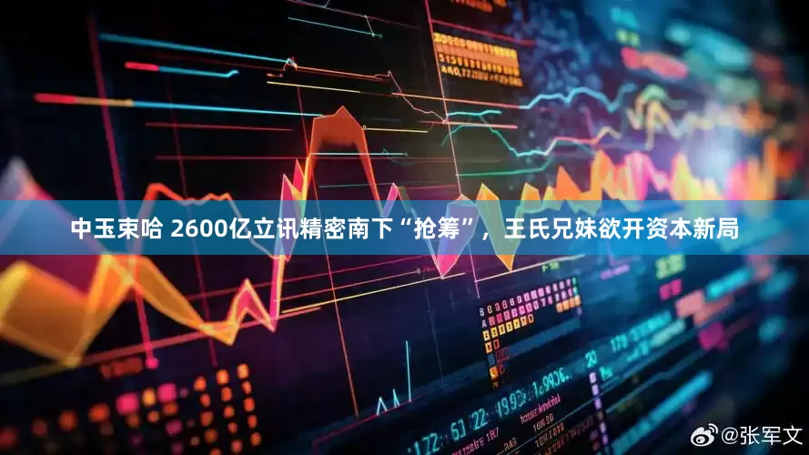 中玉束哈 2600亿立讯精密南下“抢筹”，王氏兄妹欲开资本新局