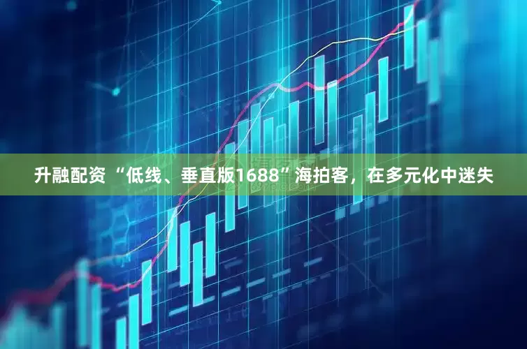 升融配资 “低线、垂直版1688”海拍客，在多元化中迷失