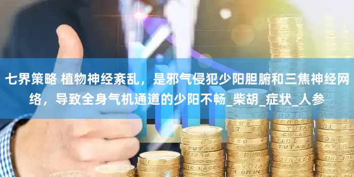 七界策略 植物神经紊乱，是邪气侵犯少阳胆腑和三焦神经网络，导致全身气机通道的少阳不畅_柴胡_症状_人参