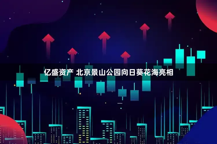 亿盛资产 北京景山公园向日葵花海亮相