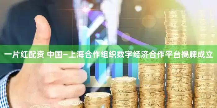 一片红配资 中国—上海合作组织数字经济合作平台揭牌成立