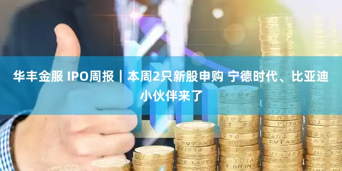 华丰金服 IPO周报｜本周2只新股申购 宁德时代、比亚迪小伙伴来了